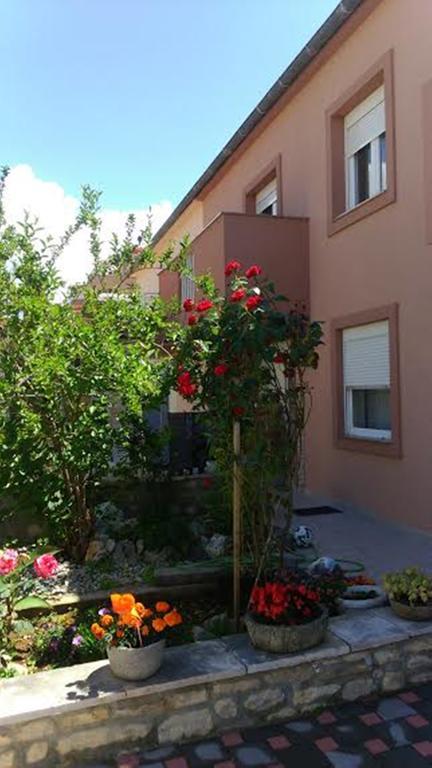 Apartments Benic Zadar Eksteriør bilde